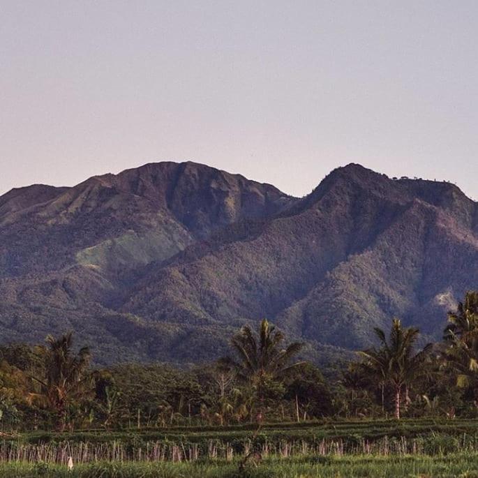 Tetebatu Mountain View Homestay Екстер'єр фото