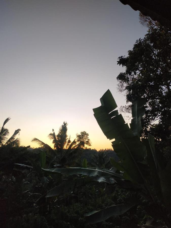 Tetebatu Mountain View Homestay Екстер'єр фото