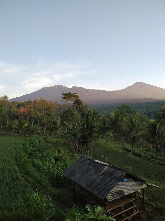 Tetebatu Mountain View Homestay Екстер'єр фото
