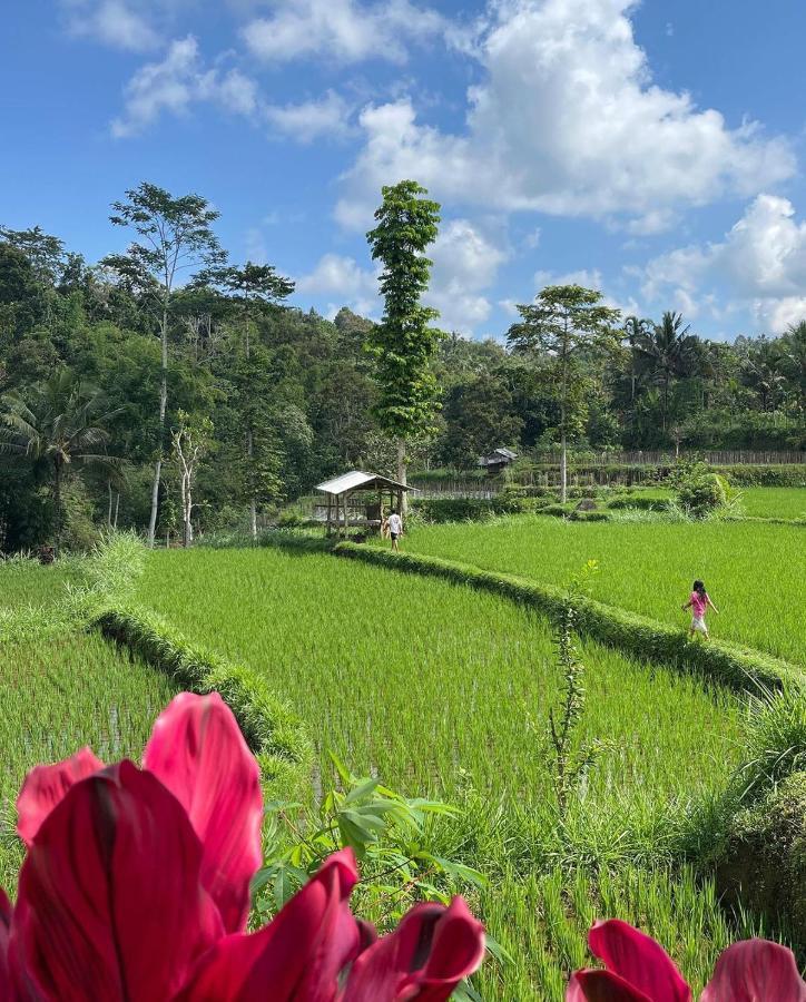 Tetebatu Mountain View Homestay Екстер'єр фото