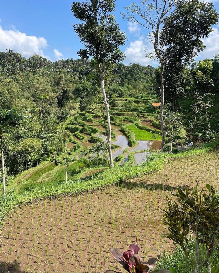 Tetebatu Mountain View Homestay Екстер'єр фото