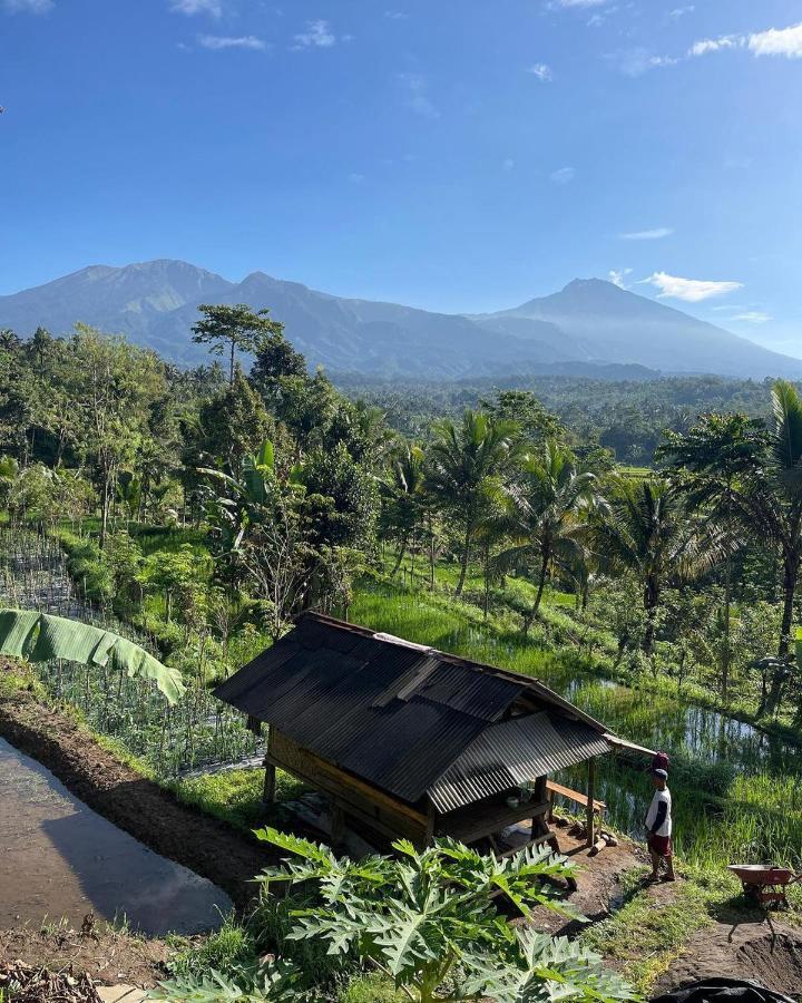 Tetebatu Mountain View Homestay Екстер'єр фото