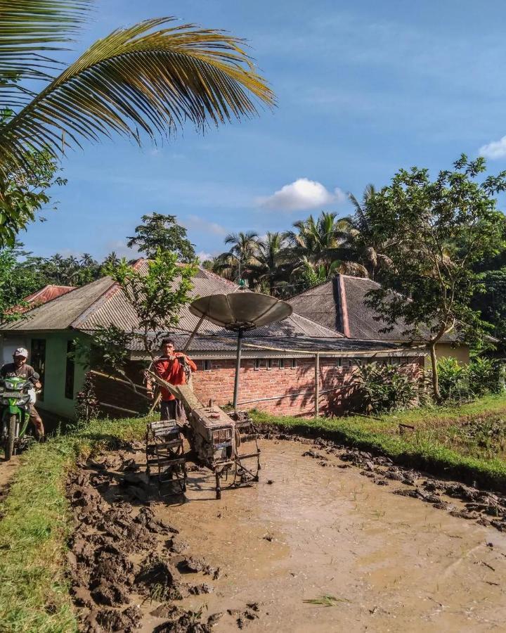 Tetebatu Mountain View Homestay Екстер'єр фото