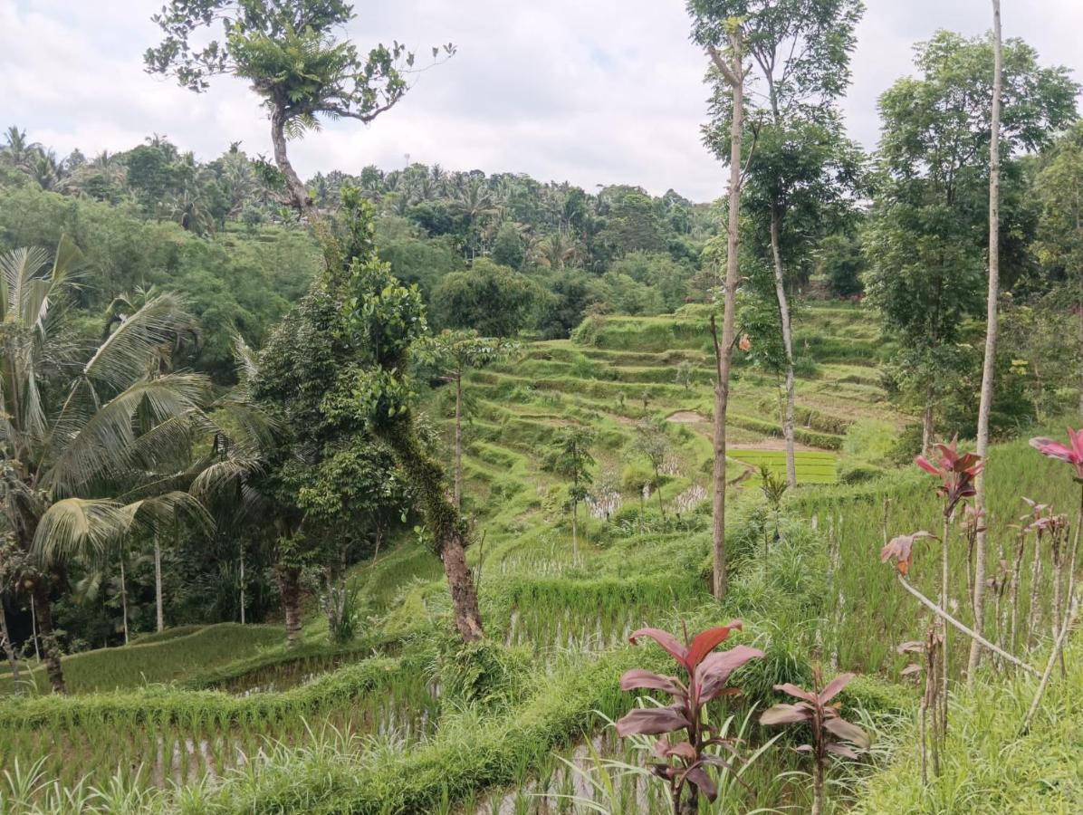Tetebatu Mountain View Homestay Екстер'єр фото
