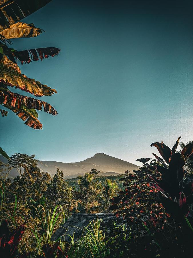Tetebatu Mountain View Homestay Екстер'єр фото