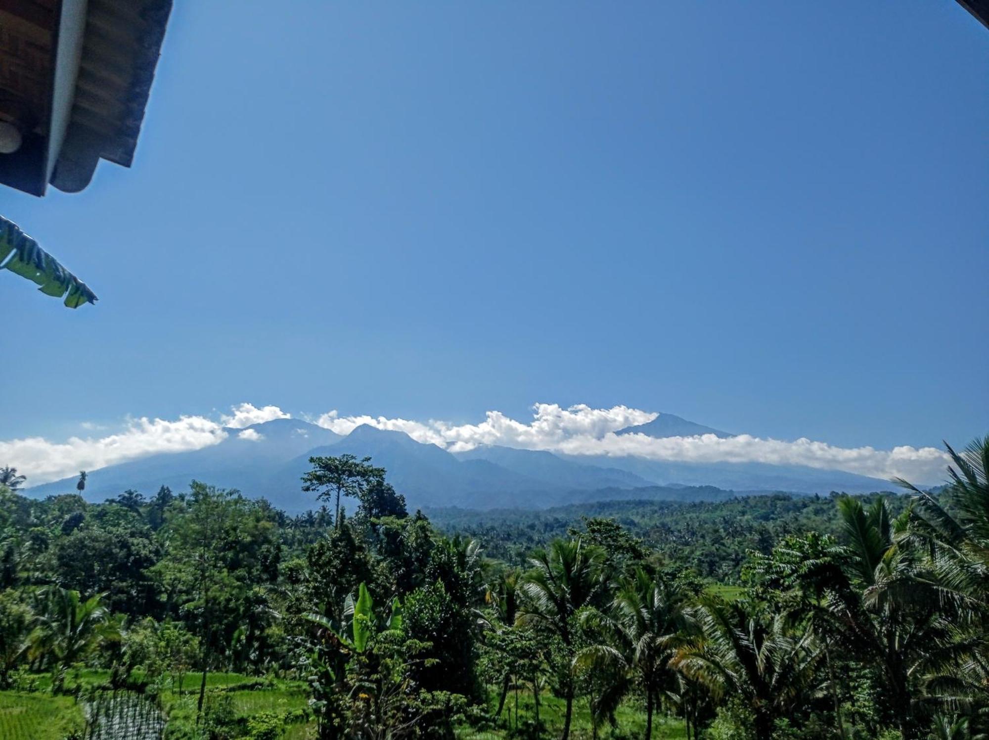 Tetebatu Mountain View Homestay Номер фото