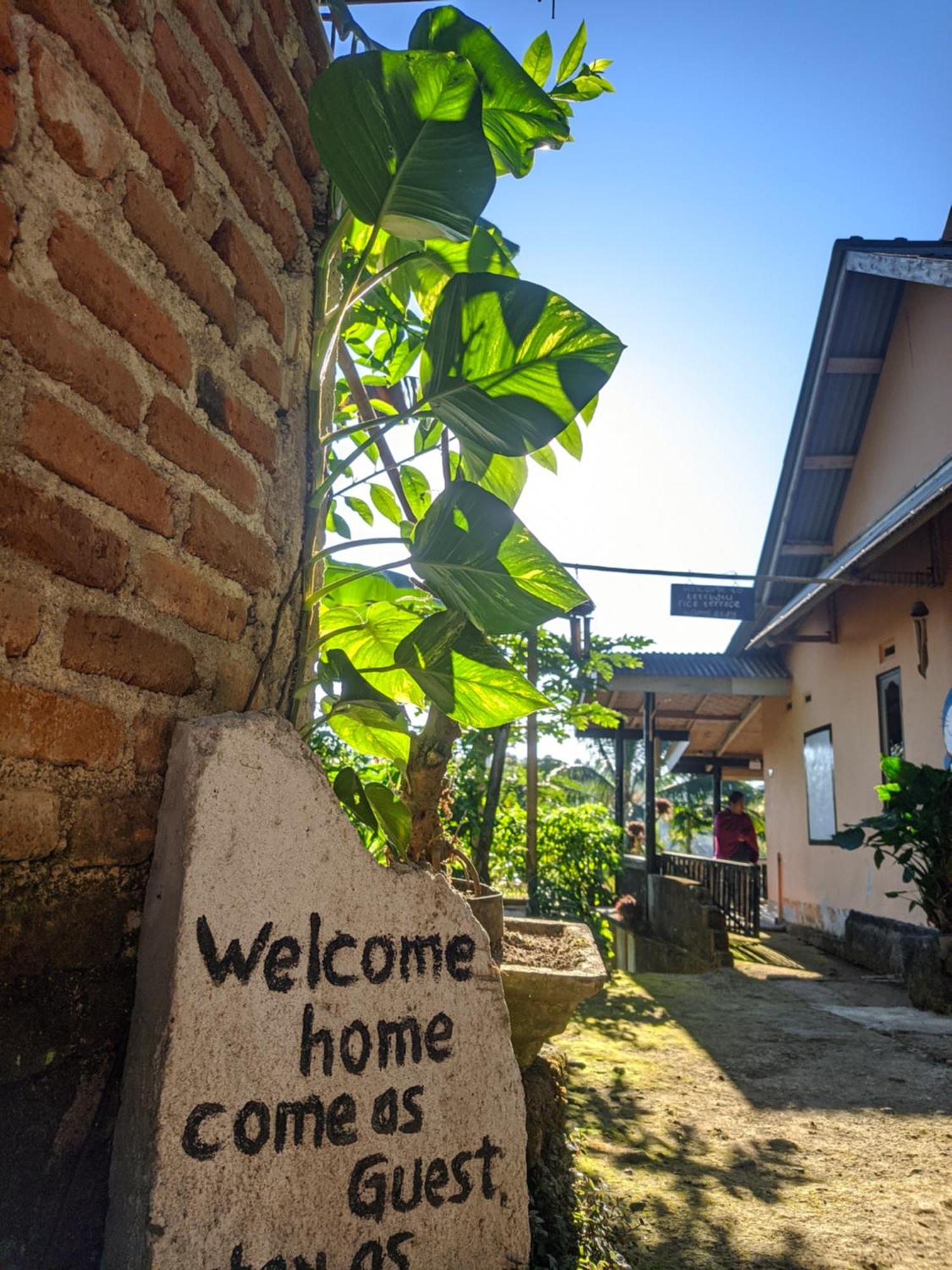 Tetebatu Mountain View Homestay Номер фото